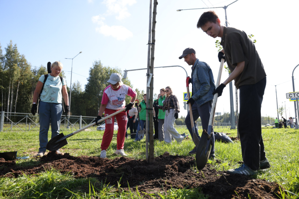 Посадка_1.png Посадка_1.png