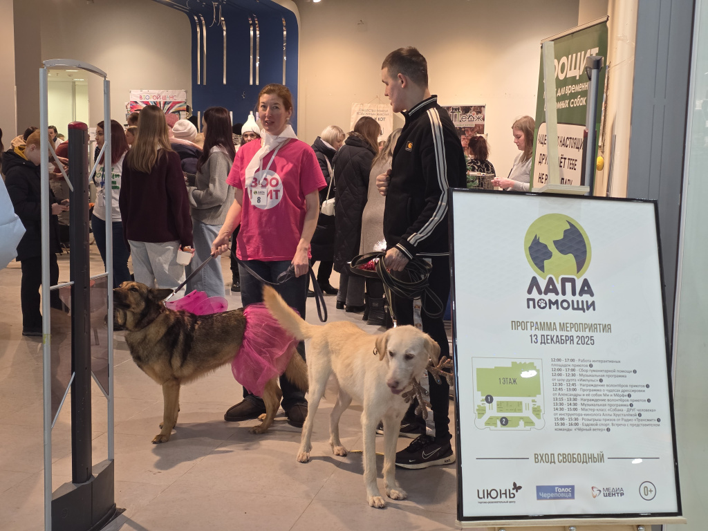 Лапа помощи Татьяна Иваницкая (3).jpg