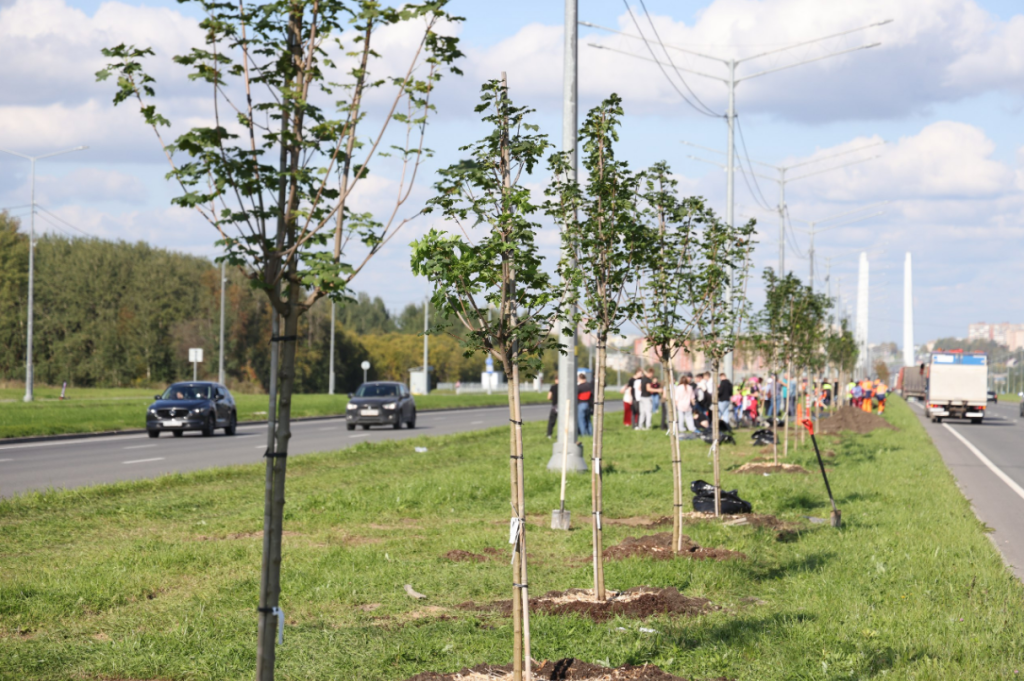 Посадка_2.png Посадка_2.png