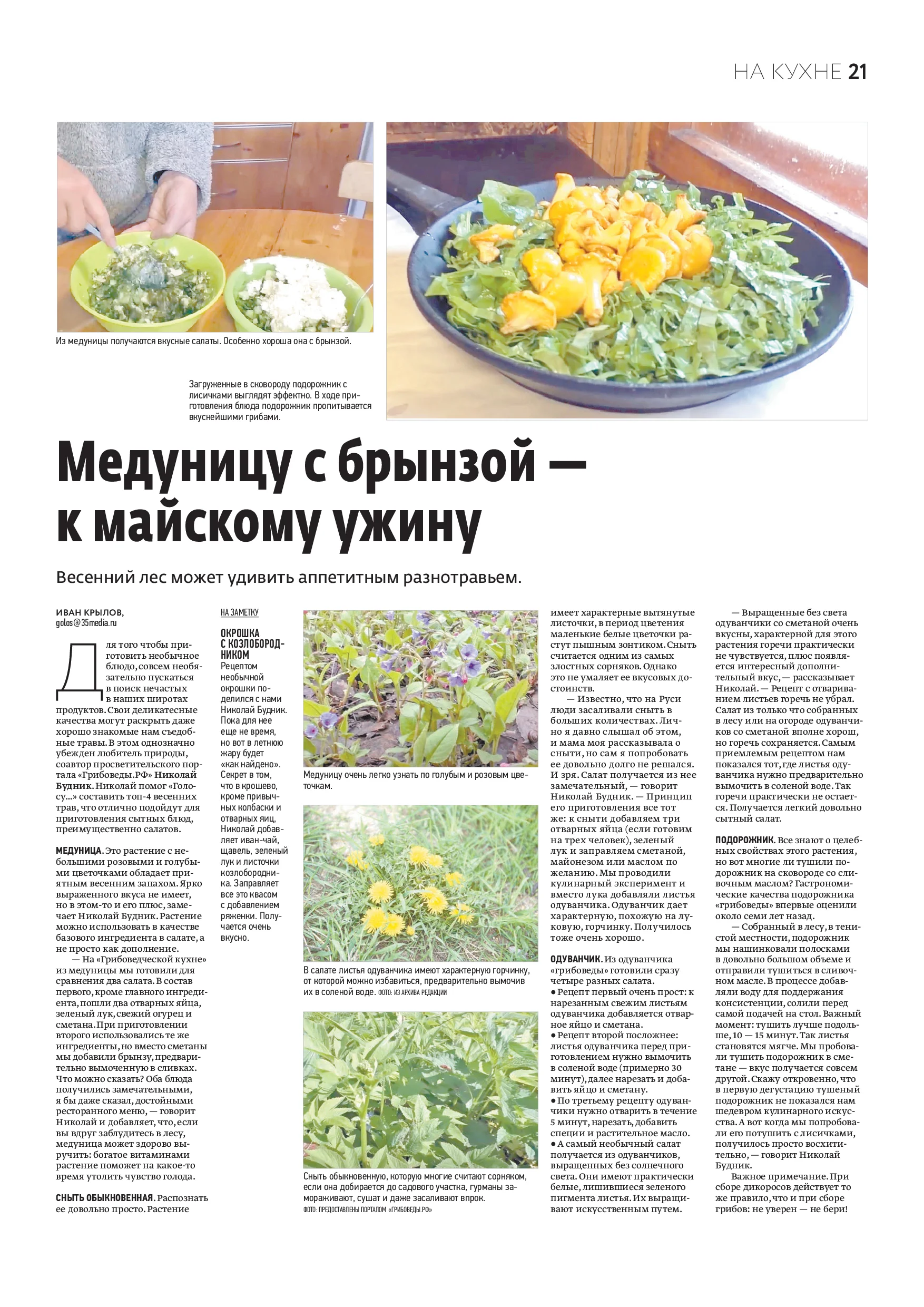 Страница 13