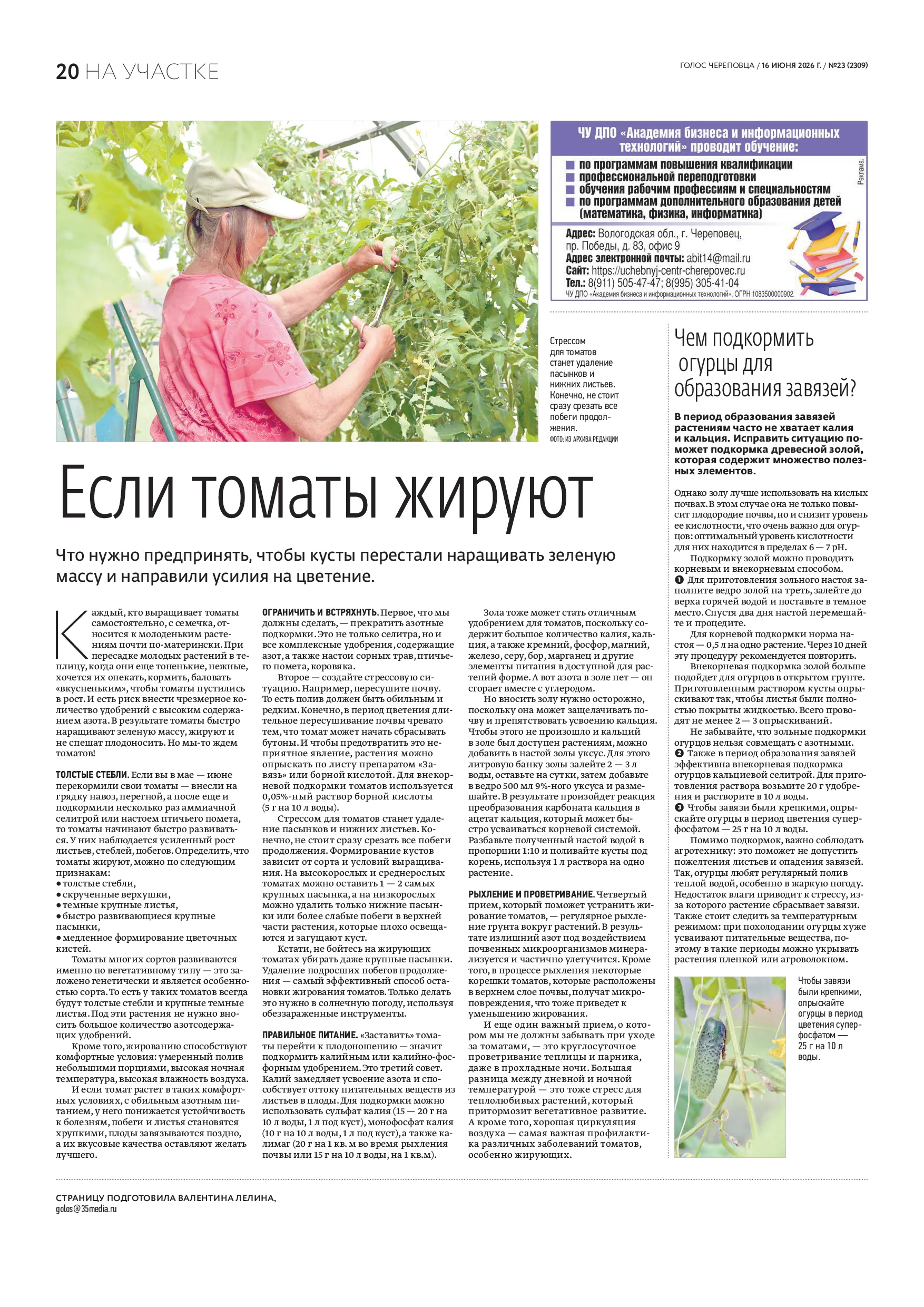 Страница 12