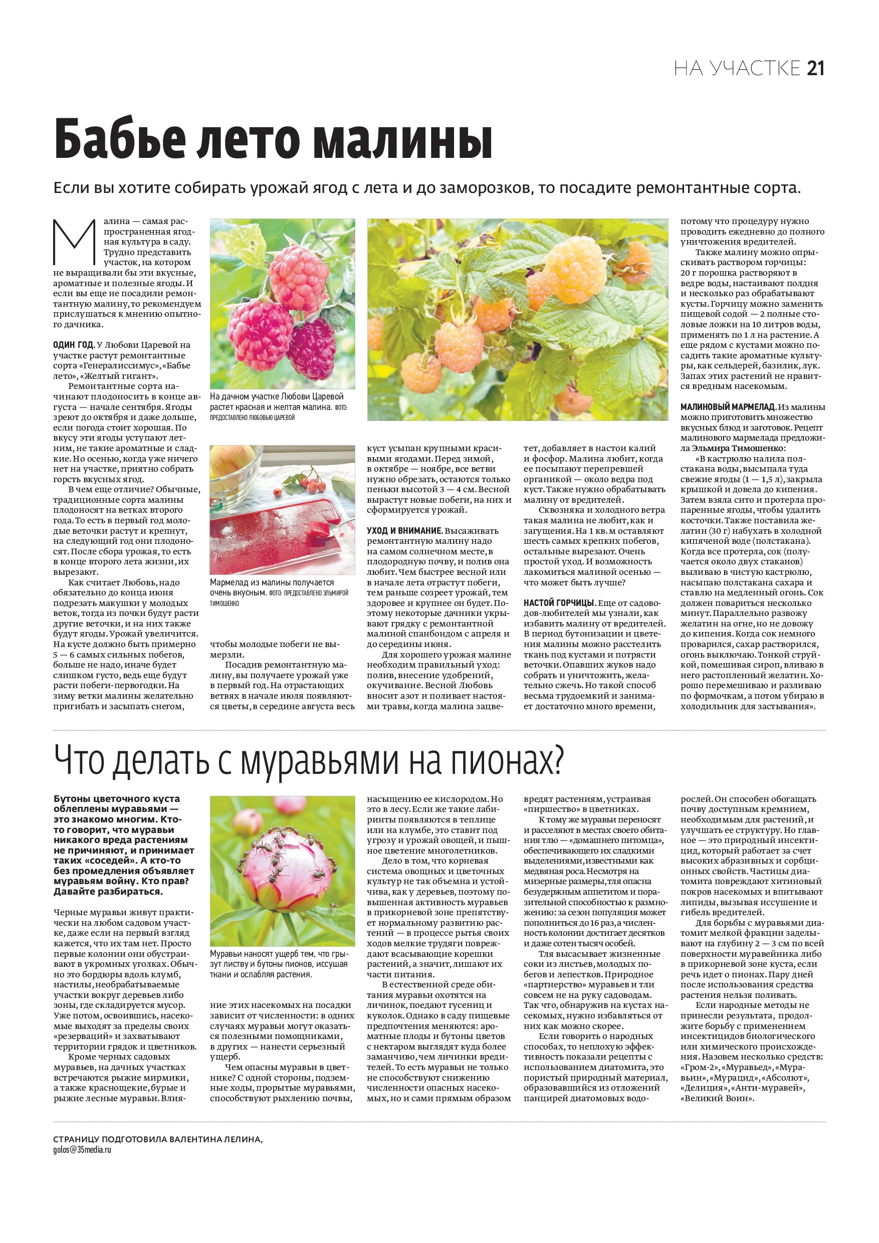 Страница 13