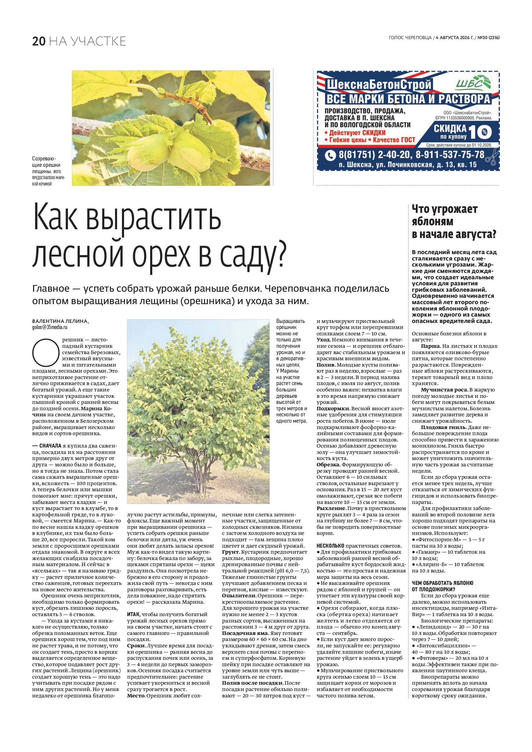 Страница 12