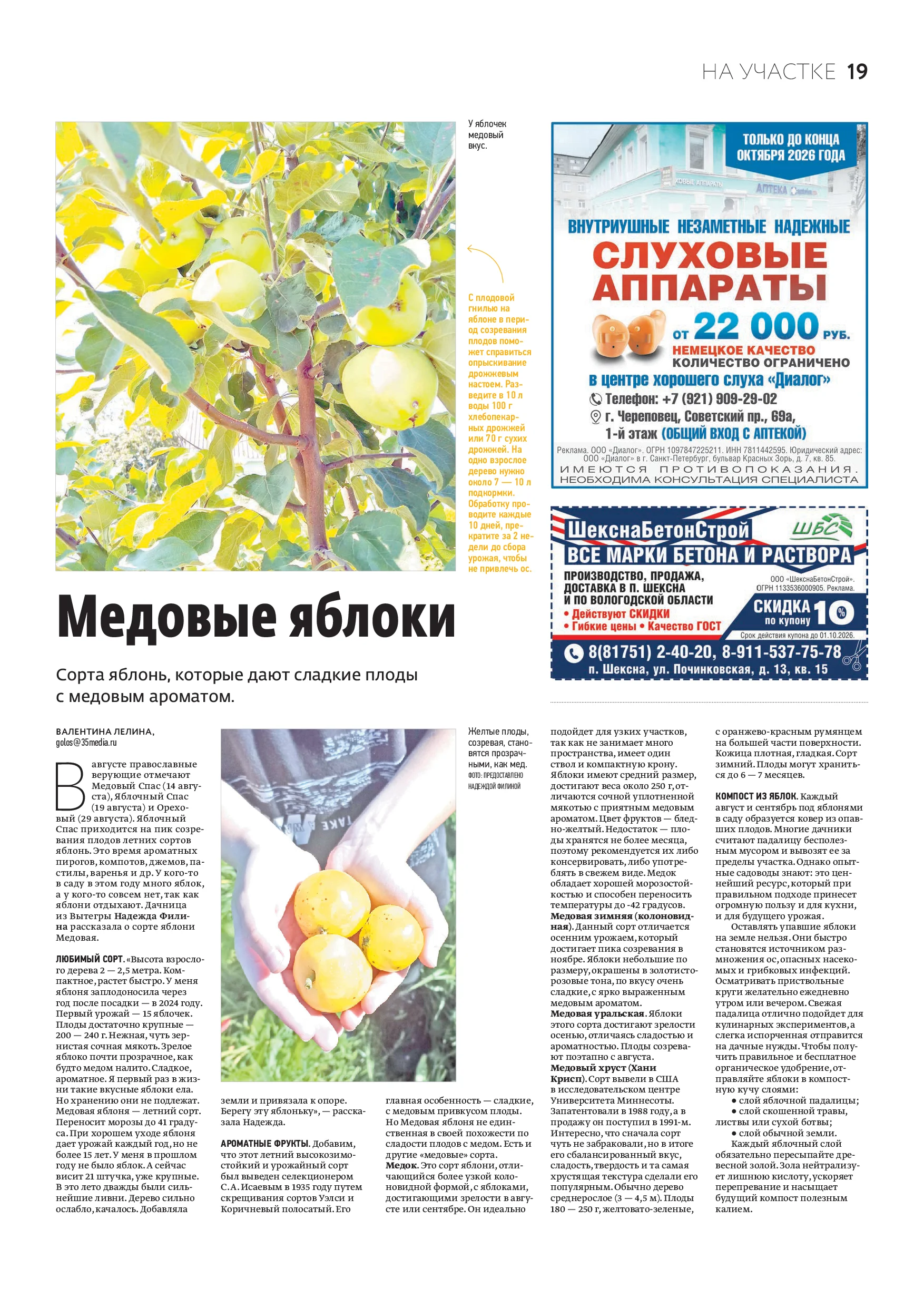 Страница 11