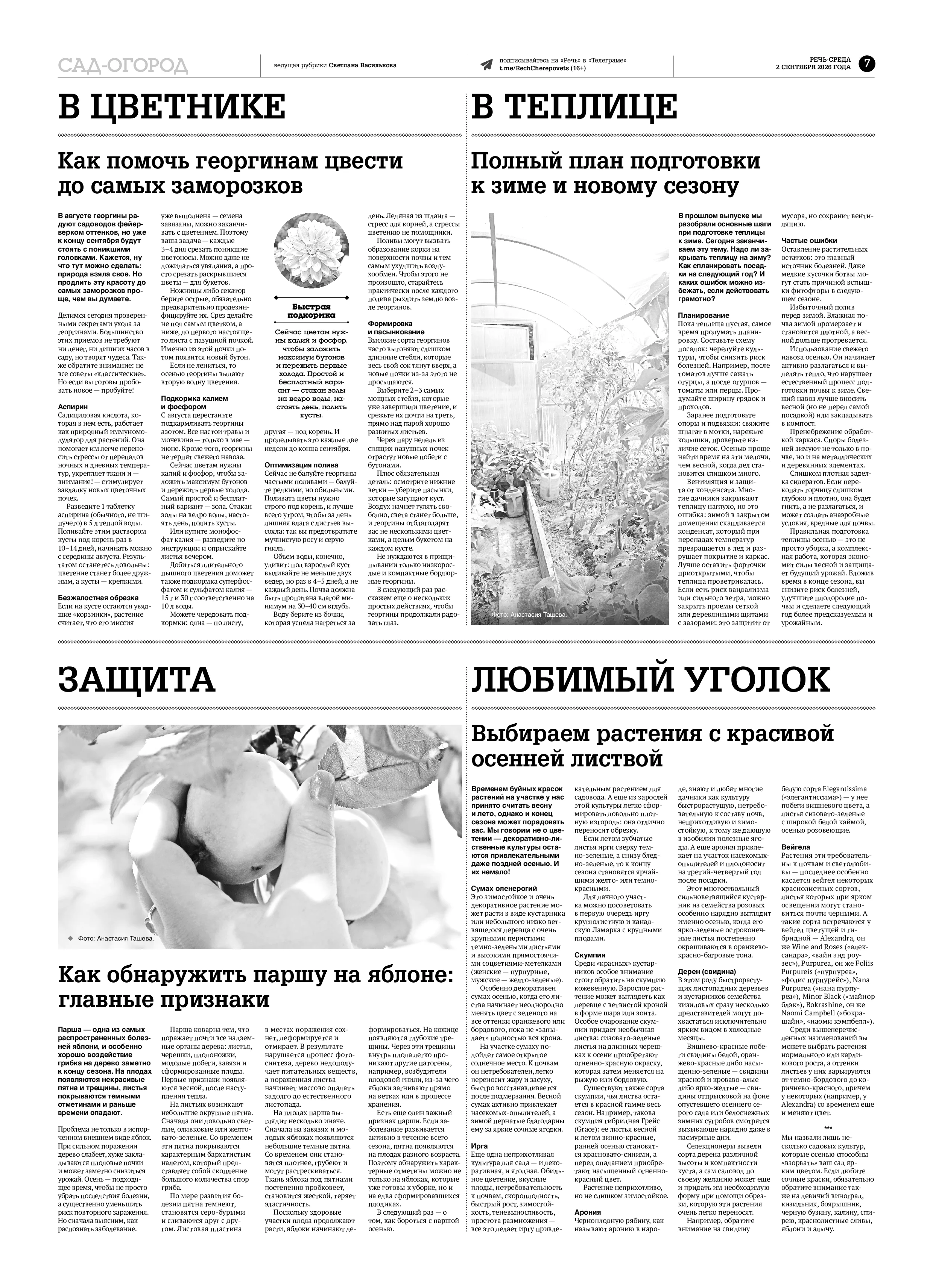 Страница 7