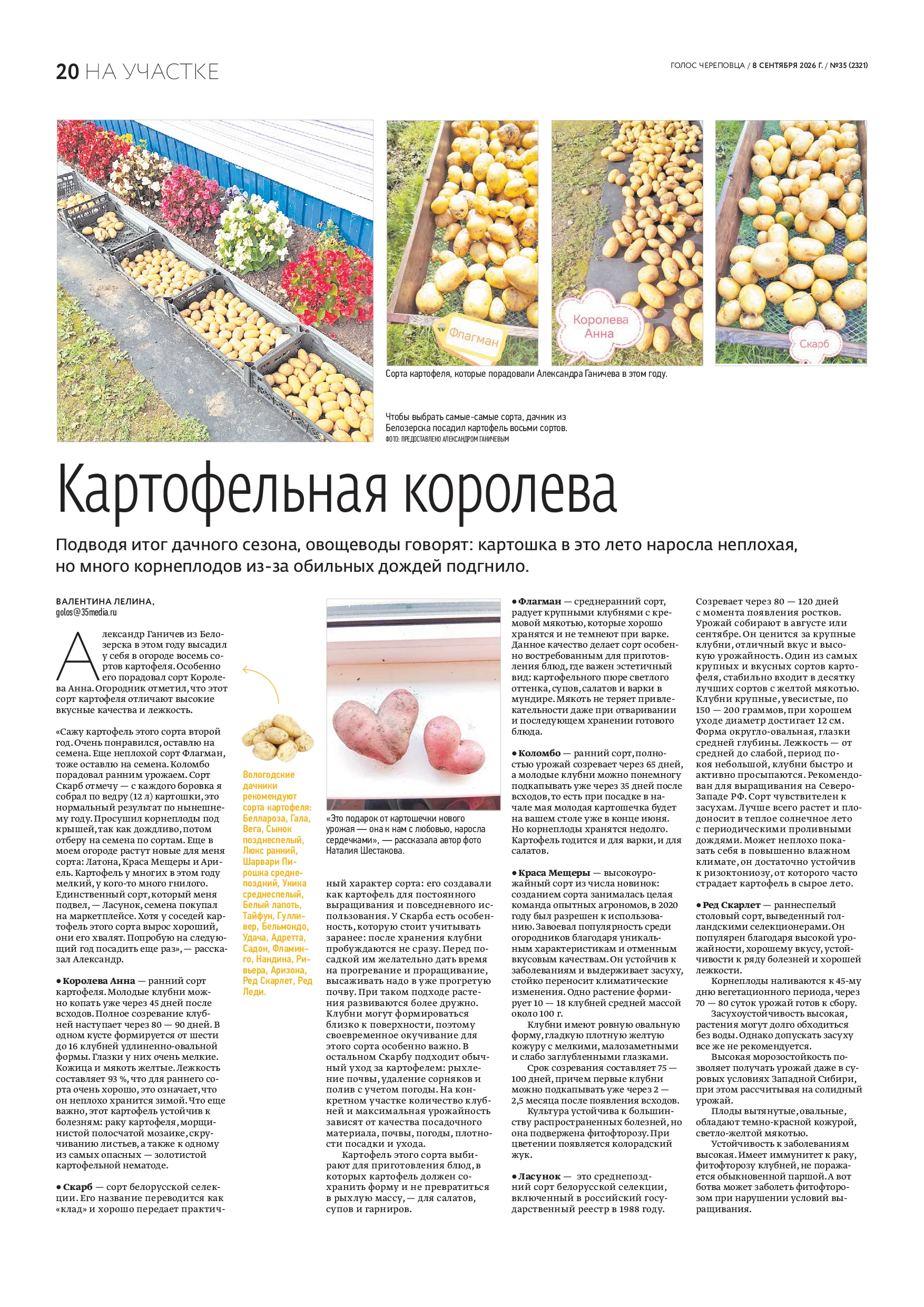 Страница 12