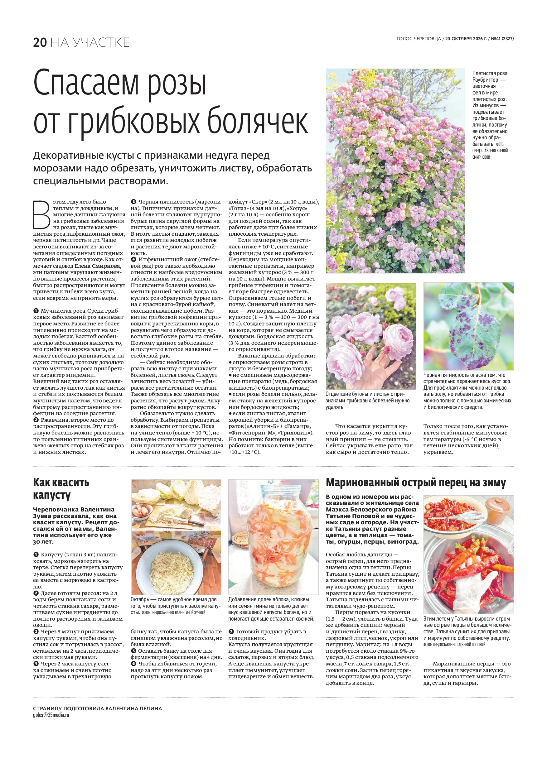 Страница 12
