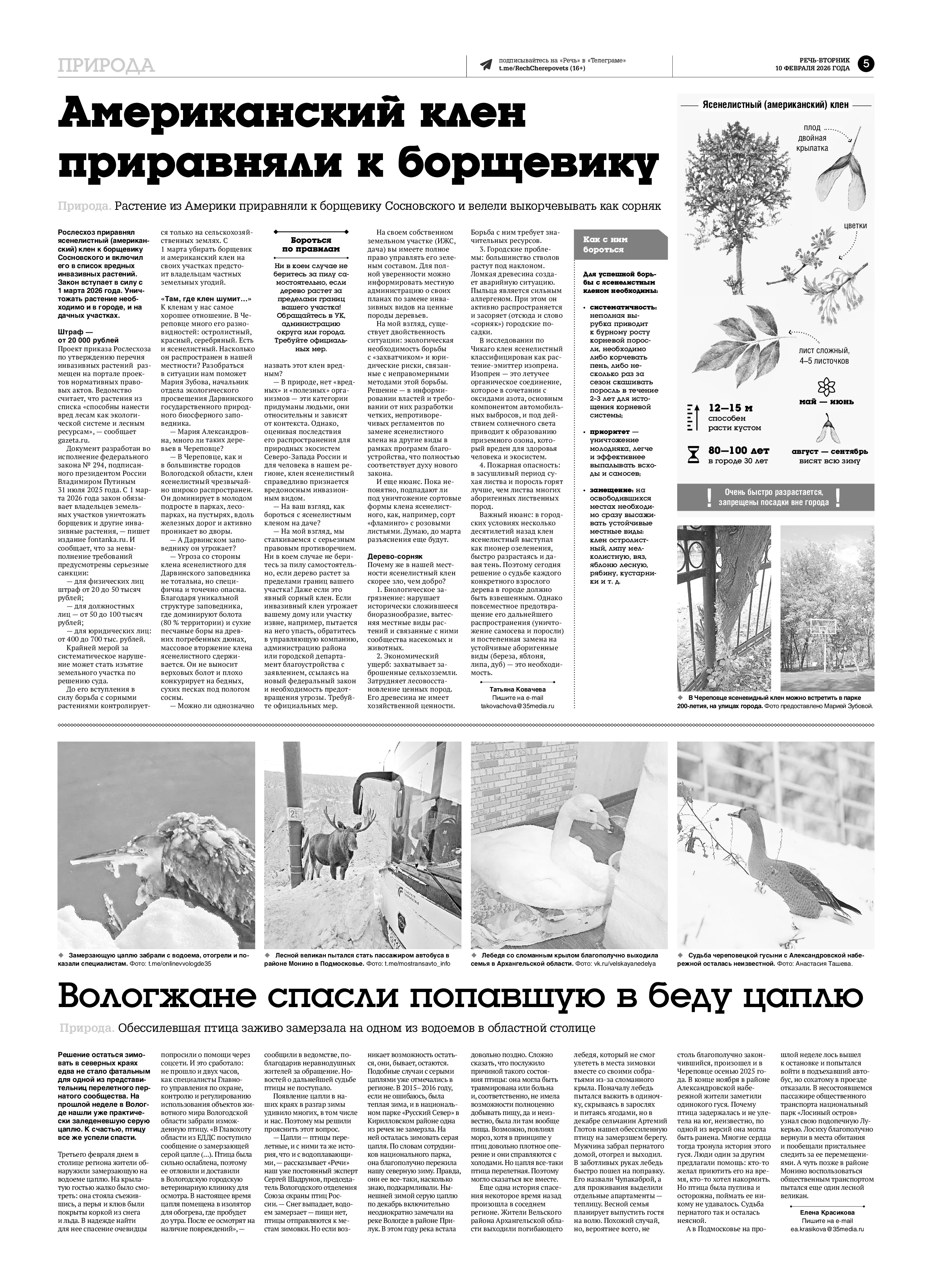 Страница 5