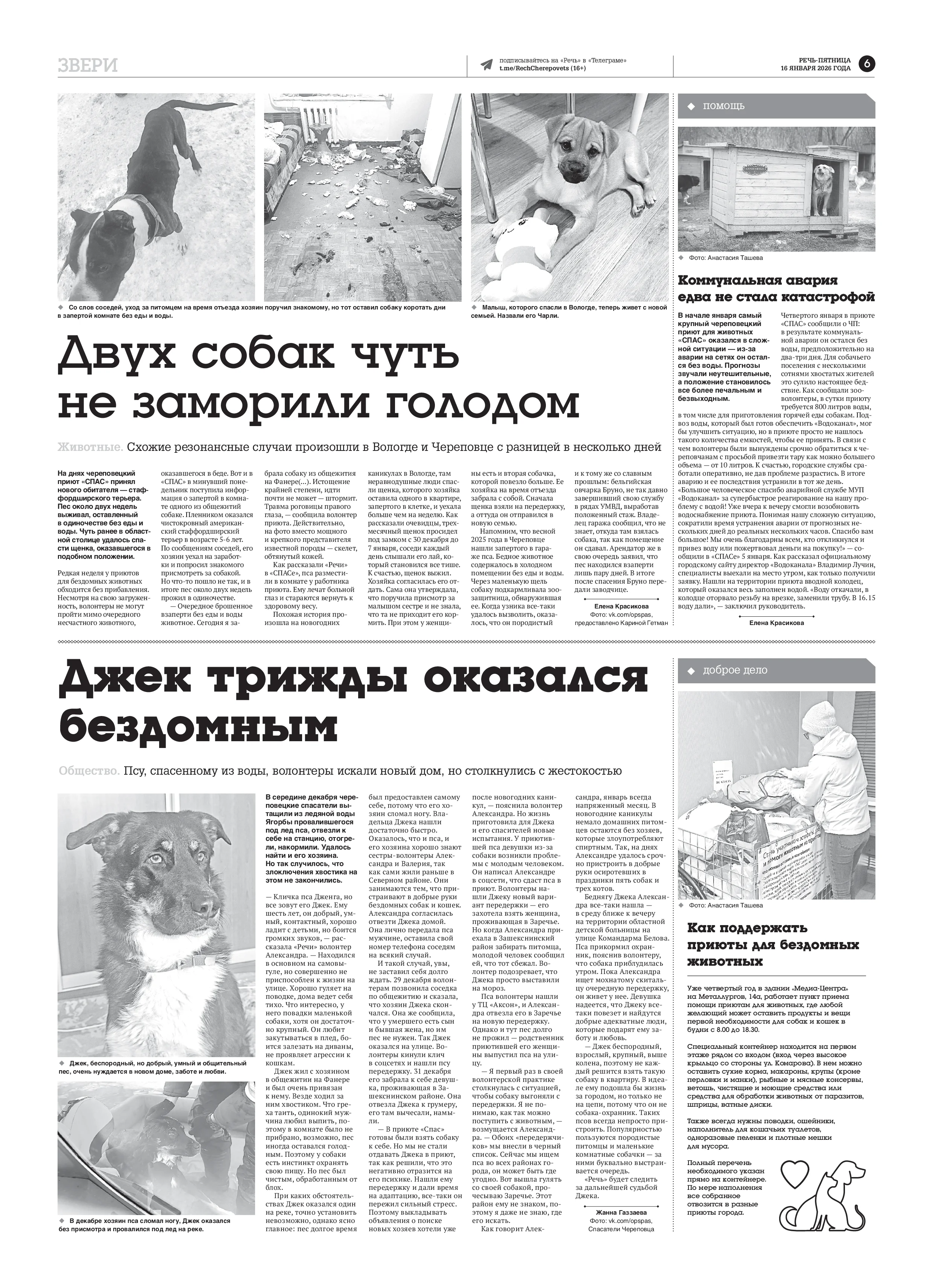 Страница 6