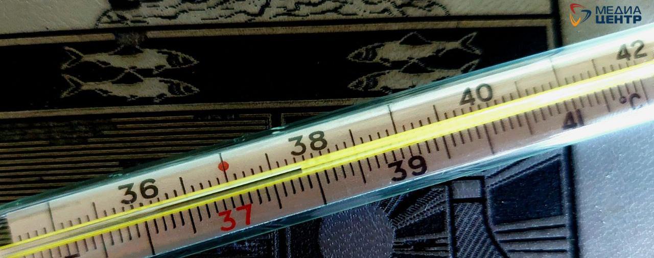 В Череповце растёт заболеваемость ОРВИ среди школьников