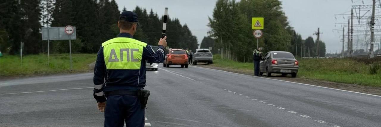 Губернатор Филимонов будет лично контролировать пьяных за рулём