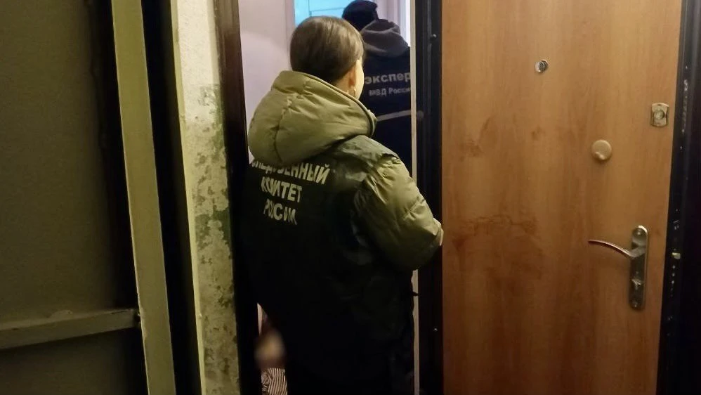  В Череповце завершено расследование дела об убийстве и краже