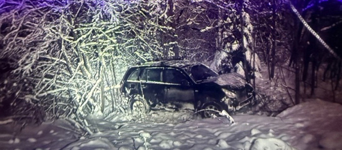 Иномарка с детьми съехала в кювет под Великим Устюгом