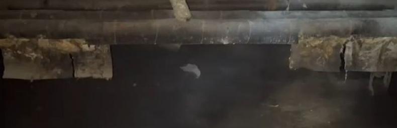 Жители дома по улице Вологодской в Череповце страдают из-за непрочищенных ливневок