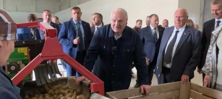 Президент Белоруссии Александр Лукашенко на саммите в Китае подарит зарубежным лидерам мешки с белорусской картошкой