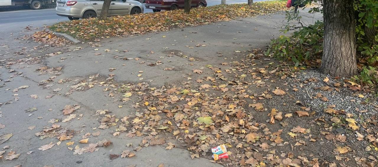 Битва с листопадом круглосуточно идёт в Череповце