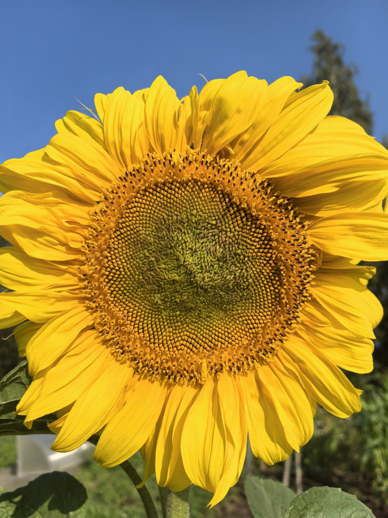 DFTdQa4UihFAX1uMtCHYZMAKNC_Xuor9l5U8v5jokvSGv16H0VrIpnH9eXppYCL-UQPSII9EG8JQ0mu96YrQ6O3r.jpg DFTdQa4UihFAX1uMtCHYZMAKNC_Xuor9l5U8v5jokvSGv16H0VrIpnH9eXppYCL-UQPSII9EG8JQ0mu96YrQ6O3r.jpg