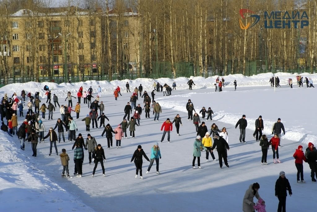 IMG_20260102_113229_877.jpg IMG_20260102_113229_877.jpg