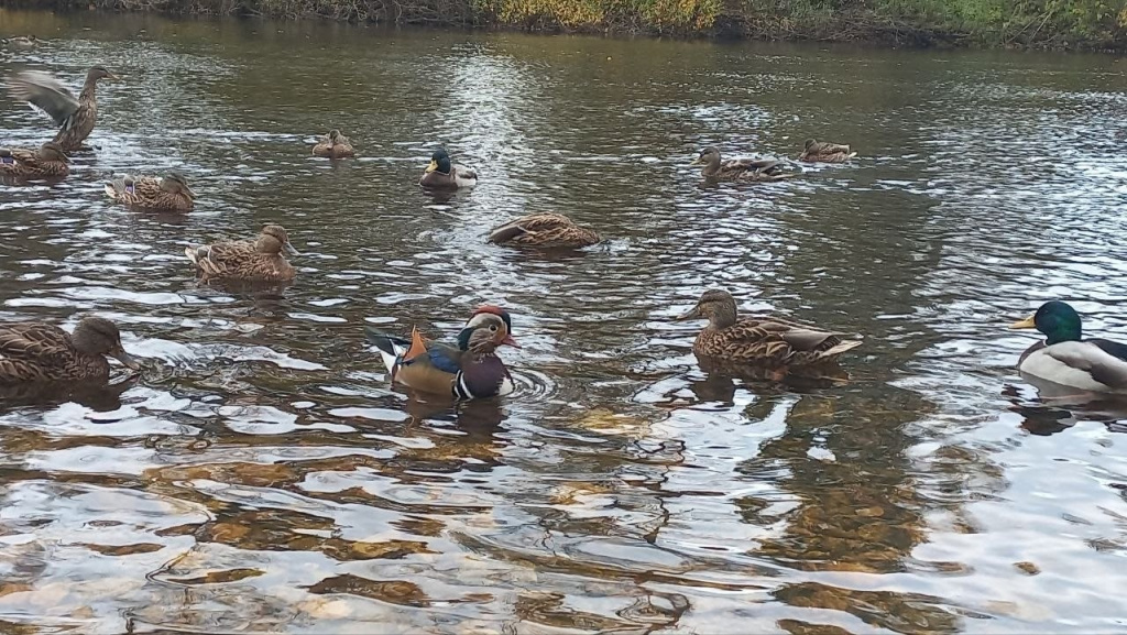 1_Y-B-A9W8PrCt49dRkso42U6Rfp6lCa8eQBRAAtTVlax8meR2enxvKtUyOoFq_A3qfAb7-NtZm0f_iCSnCpYKcw.jpg 1_Y-B-A9W8PrCt49dRkso42U6Rfp6lCa8eQBRAAtTVlax8meR2enxvKtUyOoFq_A3qfAb7-NtZm0f_iCSnCpYKcw.jpg