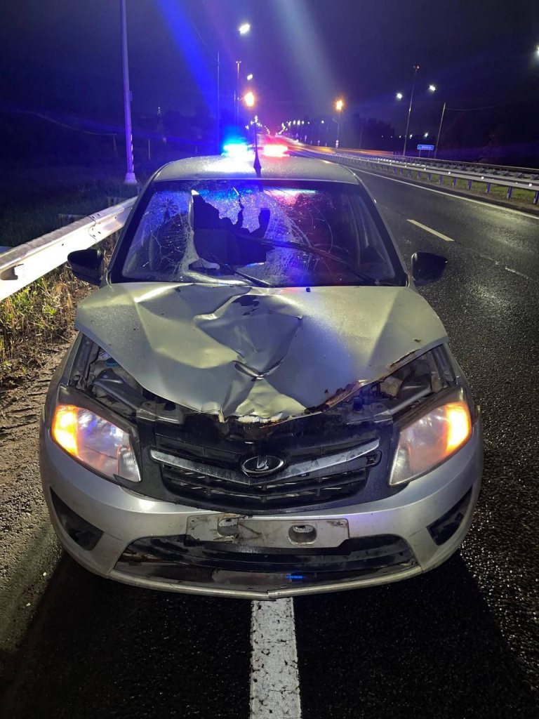 2087ff42-e5f1-406b-ba10-4fed23448aa4.jpg 2087ff42-e5f1-406b-ba10-4fed23448aa4.jpg