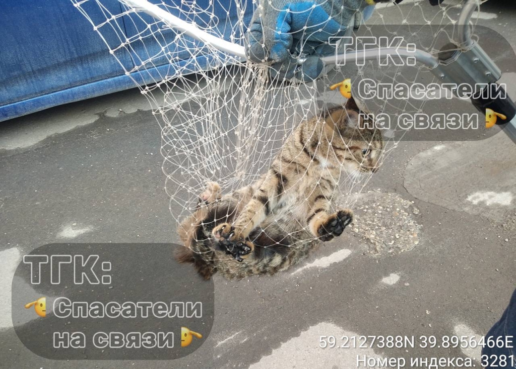9EbFCgVKrC7Ee1SiOkO5HvslS7rAQ-D3hNi_2M3dIJD-VStqcDmFa84q3y0pQ-sWsPLkEgHBaQPrzJuMOTlKzZVu.jpg