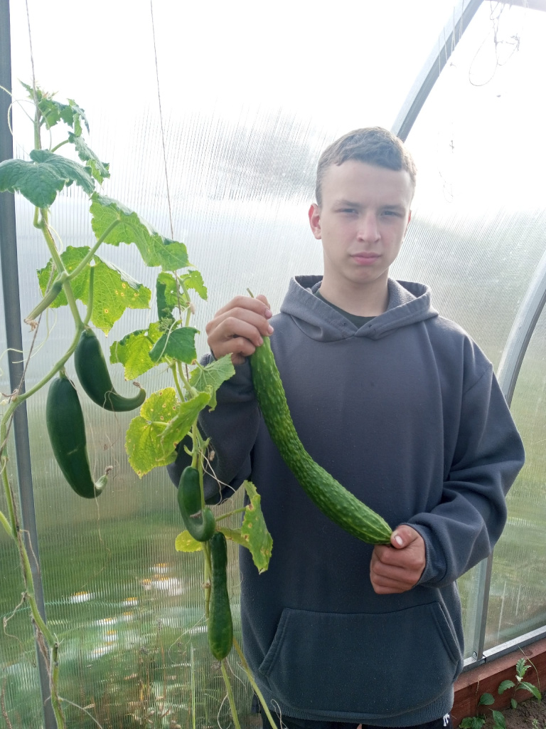 1 Китайский император. Длинные, но на вкус не очень.jpg 1 Китайский император. Длинные, но на вкус не очень.jpg