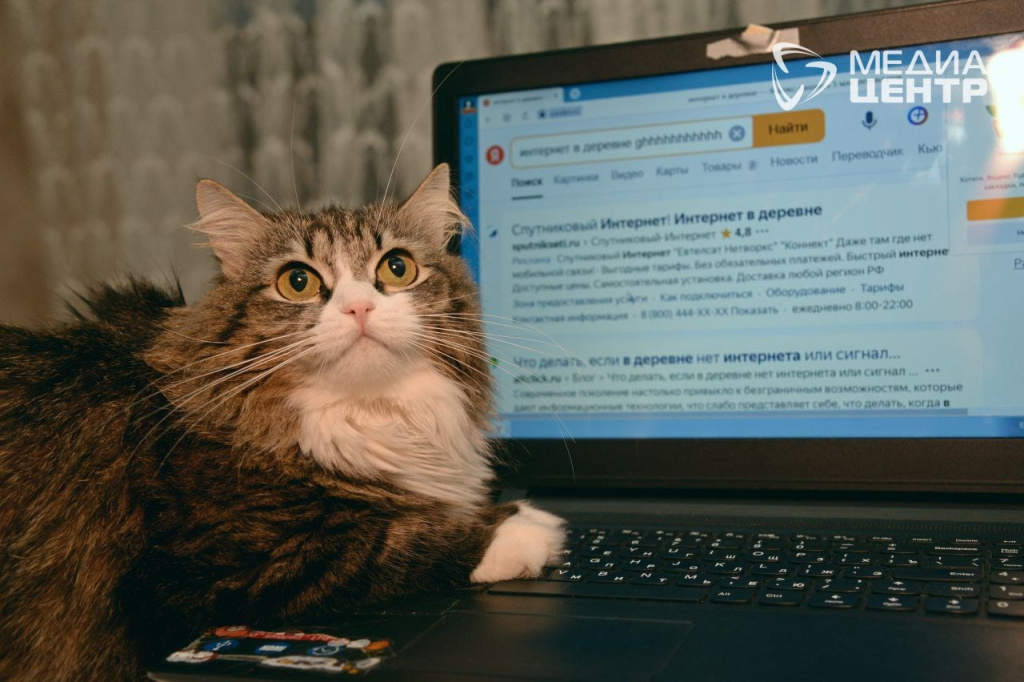 интернет на селе.jpg