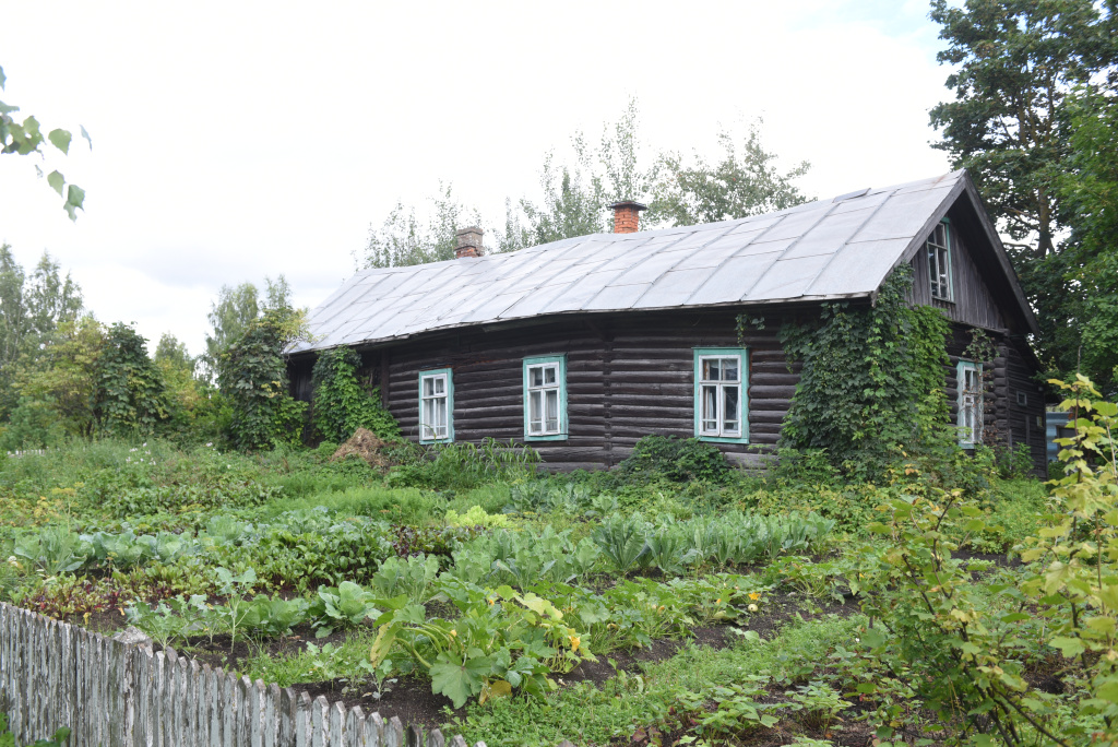 3 соседняя изба.JPG