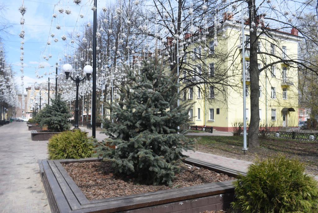 Верещагинский сквер 2.JPG