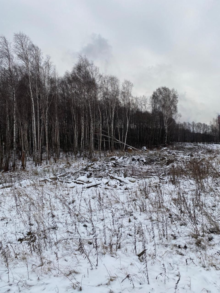 lrhMbDH5OtFxYs8v6RrjCd9V_waYaZddlrwlvTUGfCX-Hk-FsoqHc0GnfkGIfuVfgDgu5LsovELK2VM1qzOg6-z9.jpg lrhMbDH5OtFxYs8v6RrjCd9V_waYaZddlrwlvTUGfCX-Hk-FsoqHc0GnfkGIfuVfgDgu5LsovELK2VM1qzOg6-z9.jpg