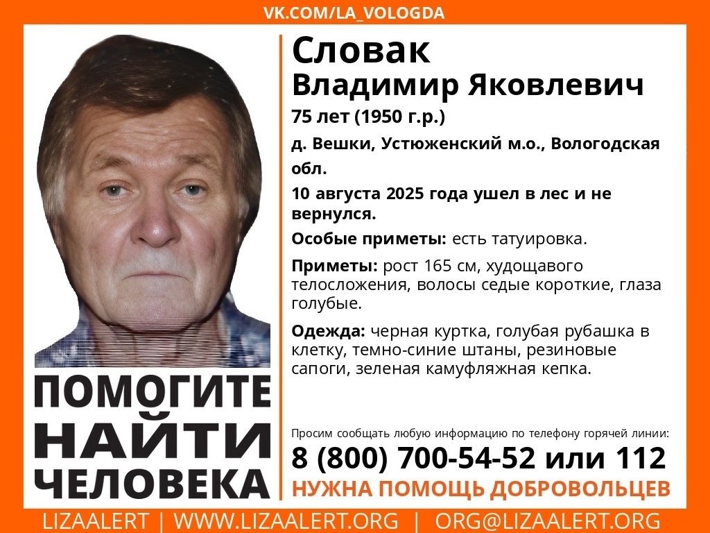 устюжна потеряшки в лесу.jpg