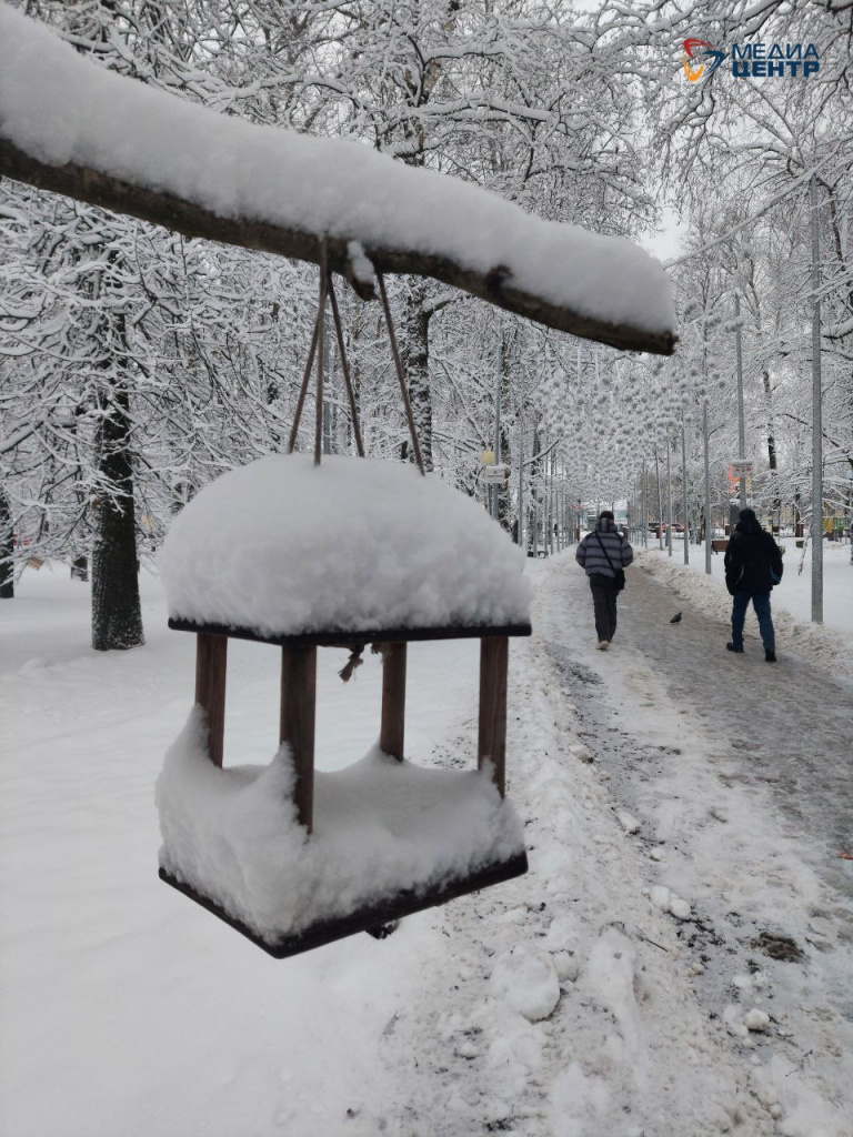 Зима снег кормушка парк.jpg Зима снег кормушка парк.jpg