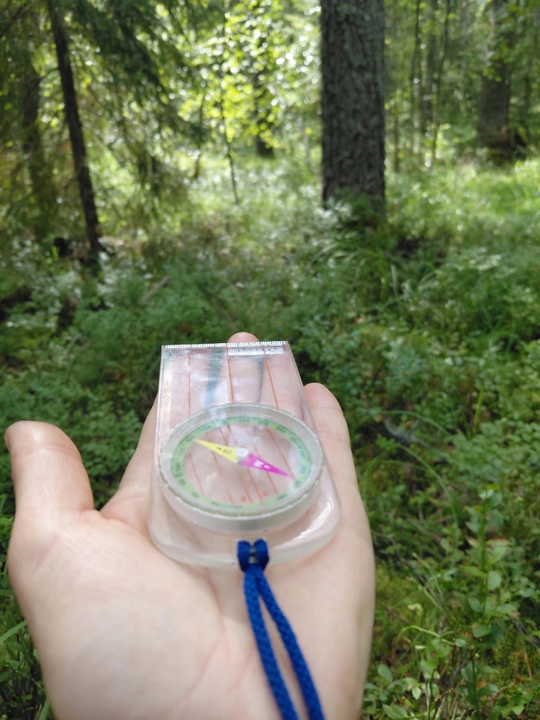 ЛА2 (2).jpg