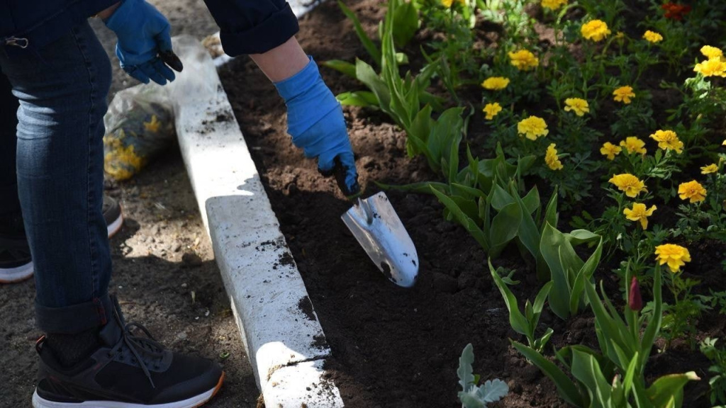 Q3Kecit6lTYm5iKGG7u0F0lBspZbZSYPBq9j2tSqpKrMewkjz6_cHfxM4gKUuY-J2WnDUis-MLxO8_r96KOwzt4A.jpg Q3Kecit6lTYm5iKGG7u0F0lBspZbZSYPBq9j2tSqpKrMewkjz6_cHfxM4gKUuY-J2WnDUis-MLxO8_r96KOwzt4A.jpg