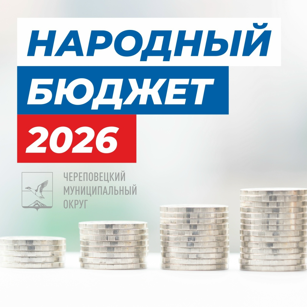 народный бюджет.jpg