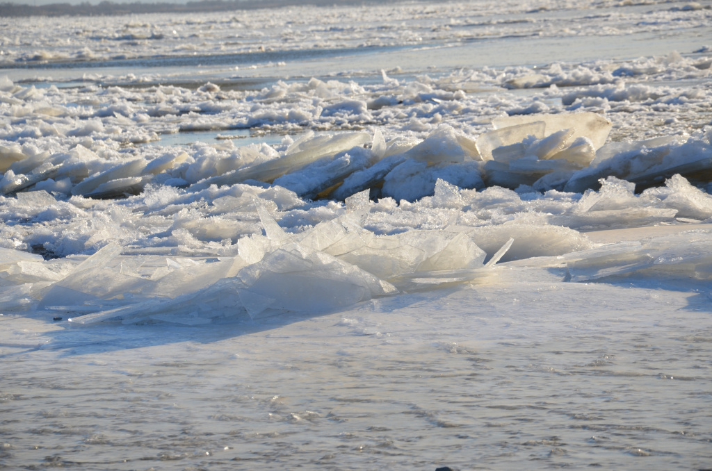 Спасатели Череповца.jpg