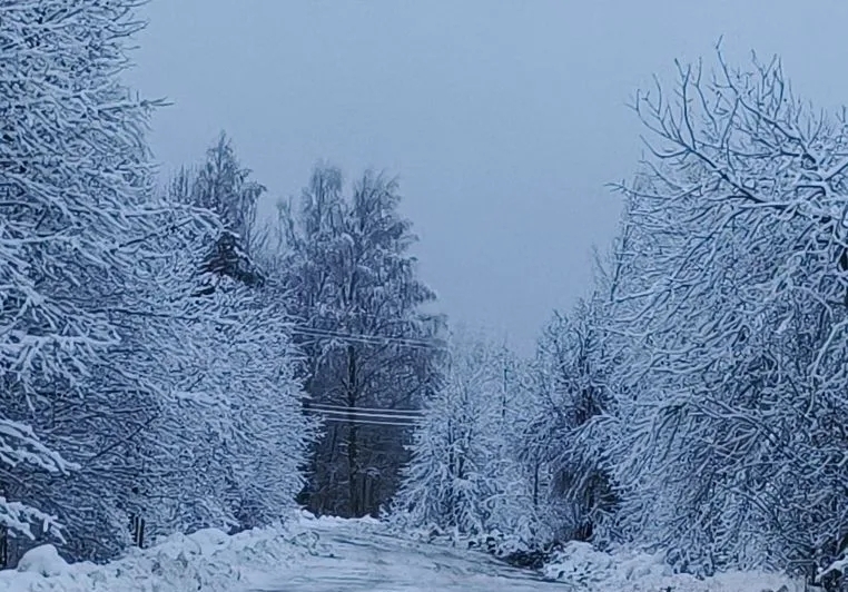 снег и свет.jpg снег и свет.jpg