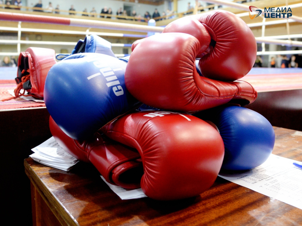 бокс перчатки.jpg
