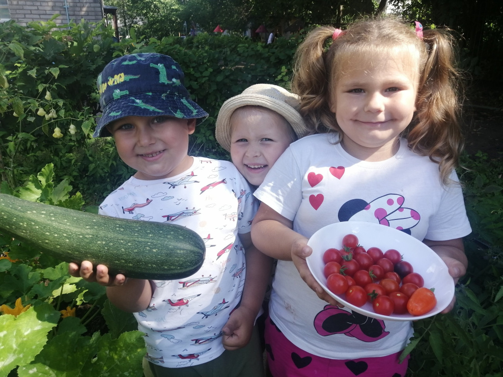 1 Сбор урожая.jpg