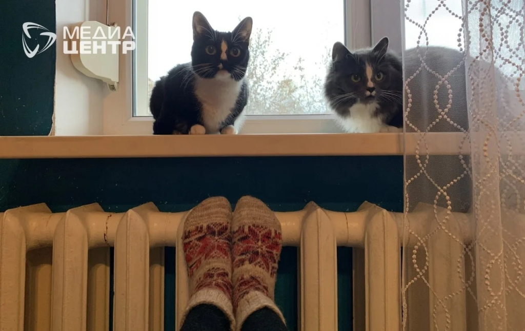 батарея жкх отопление коты.jpg