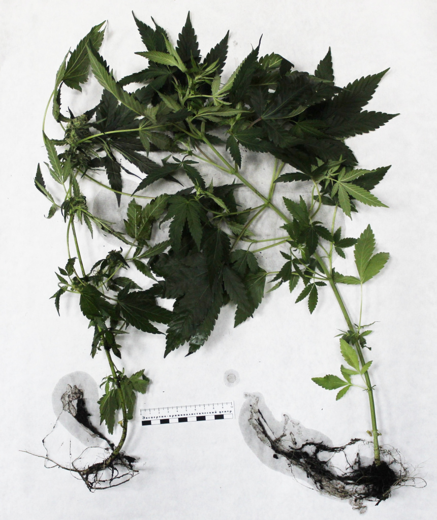 qp0Q32edt6ulpNJrYxoDcKuI4_OFamIL1RwLJLmPKTliiYhtclpb-W0fMNOq6_UrqU1TYRiAogB449ZJN4PZ4EFQ.jpg qp0Q32edt6ulpNJrYxoDcKuI4_OFamIL1RwLJLmPKTliiYhtclpb-W0fMNOq6_UrqU1TYRiAogB449ZJN4PZ4EFQ.jpg