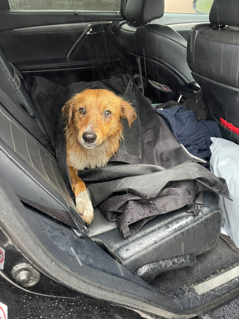 c7e44e2a-c8e1-45f6-a05e-66c1ff819eec.jpg c7e44e2a-c8e1-45f6-a05e-66c1ff819eec.jpg