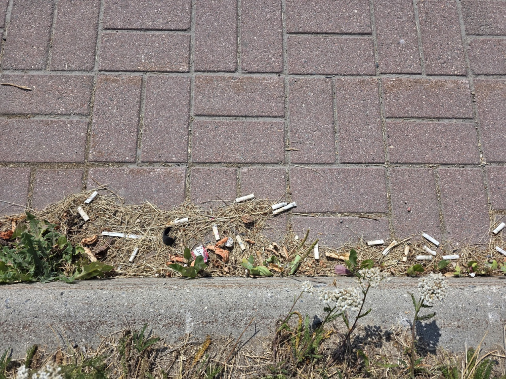 тротуар смет 2.jpg