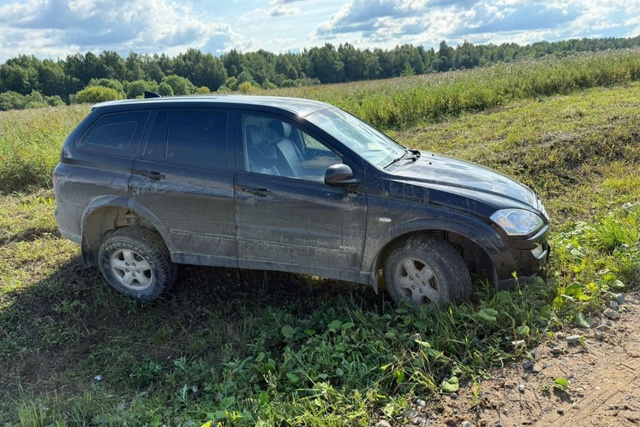 кошка.jpg кошка.jpg