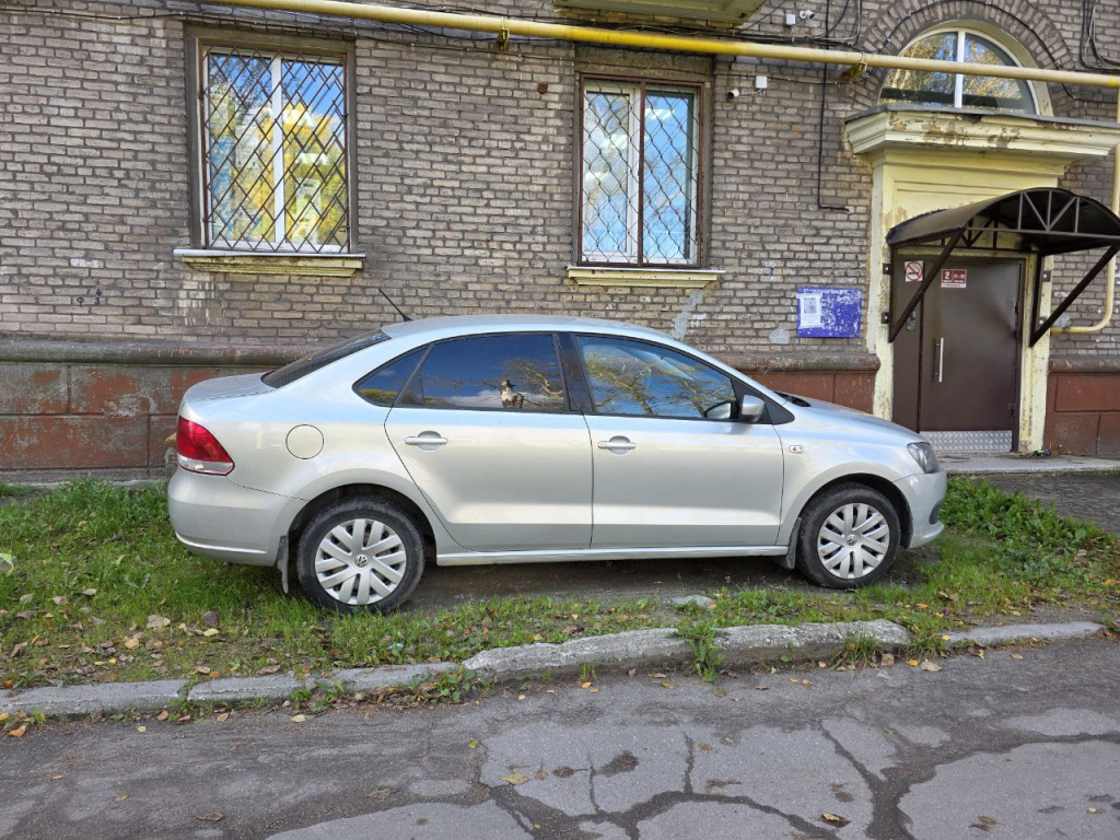 парковка газон 1.jpg