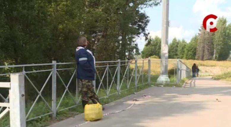 остановки вологда3.jpg остановки вологда3.jpg