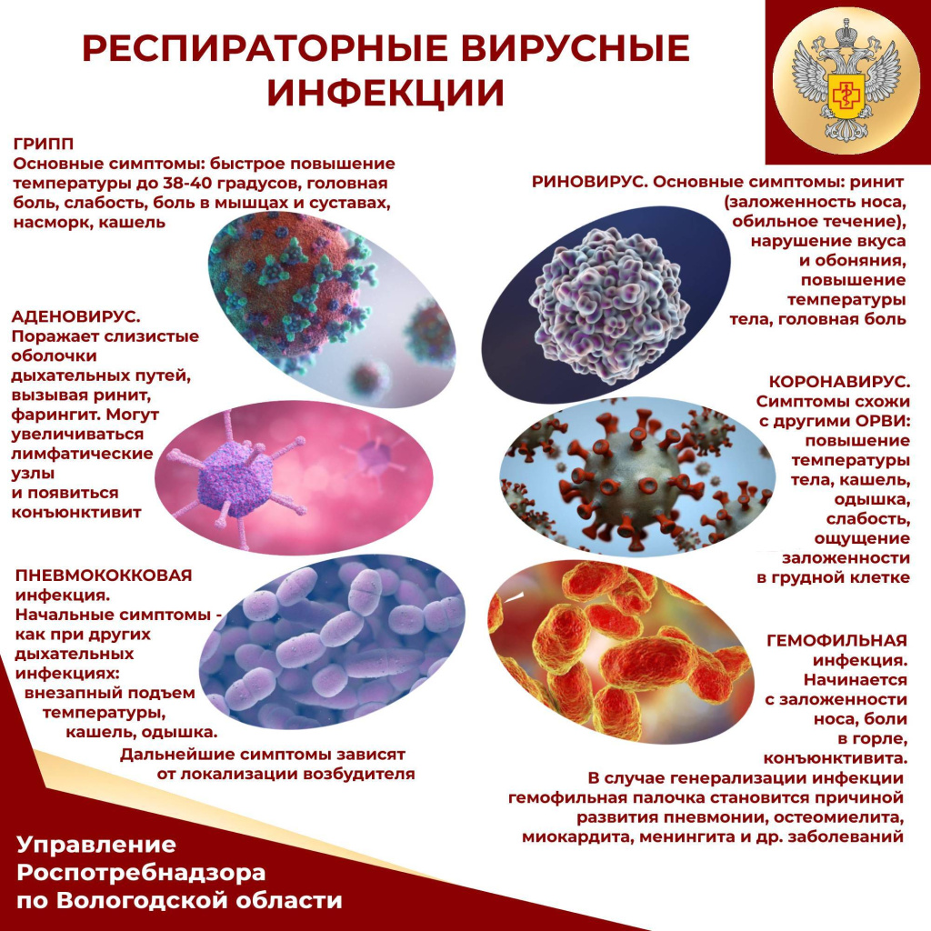 Роспотребнадзор.jpg Роспотребнадзор.jpg