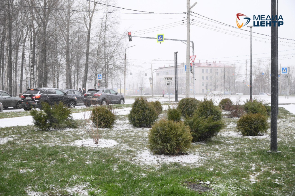 клумба у ДК химиков.png клумба у ДК химиков.png