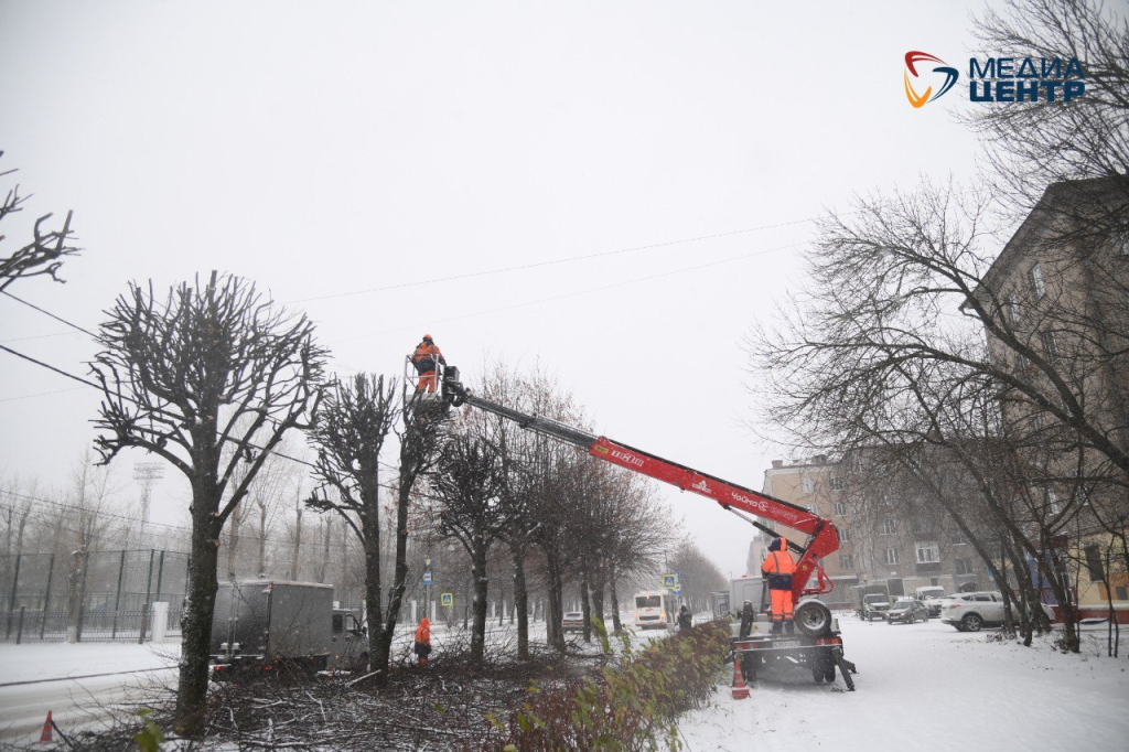 Кронирование.png Кронирование.png