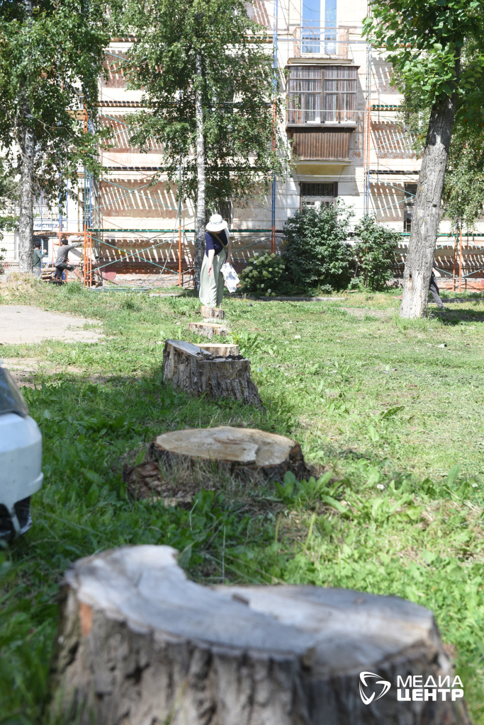 пни на Металлургов, 9 фото Татьяна Иваницкая.JPG